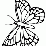 Printable Butterfly With Lines ClipArt Best