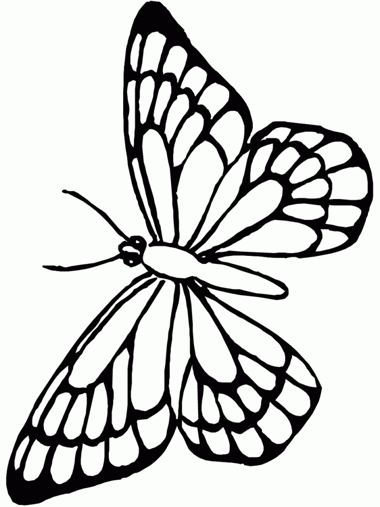 Printable Butterfly With Lines ClipArt Best