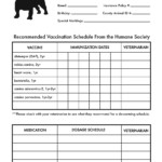 Printable Dog Vaccination Records Shop Fresh