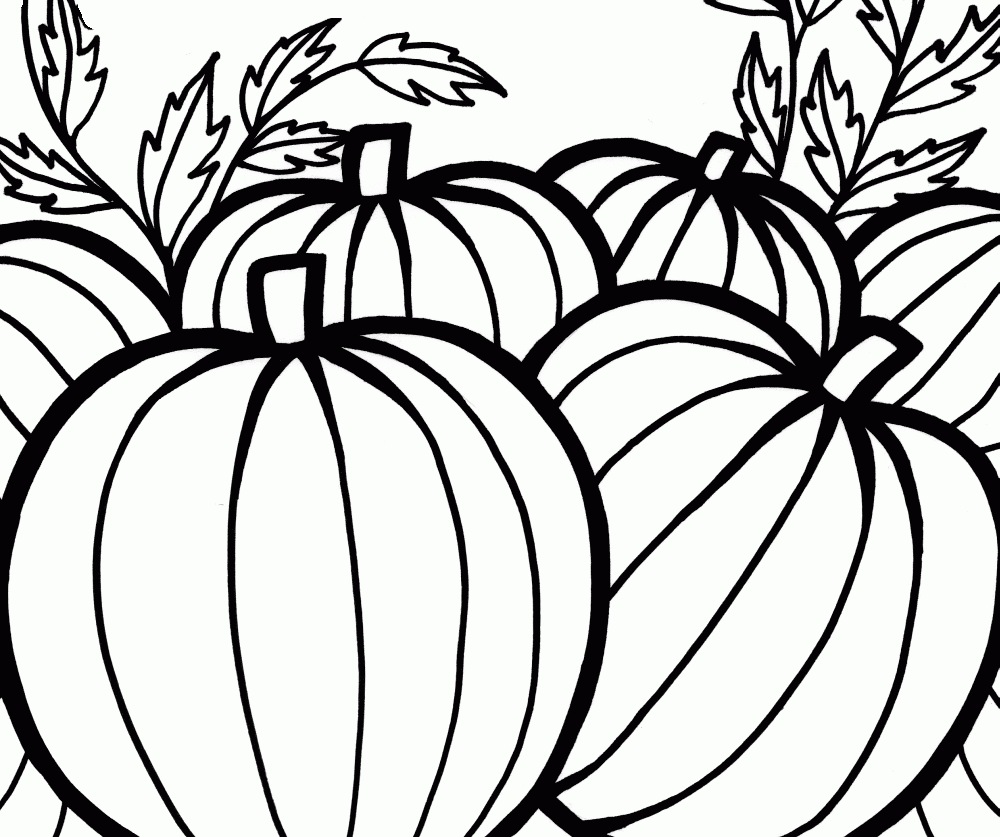 Pumpkins Coloring Pages To Celebrate Thanksgiving Learn 