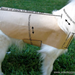 Sew DoggyStyle DIY Pet Coat Pattern