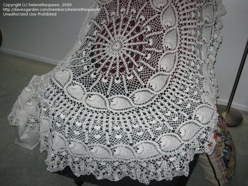 Sewing Quilting Needle Arts Oval Crochet Table Cloth 