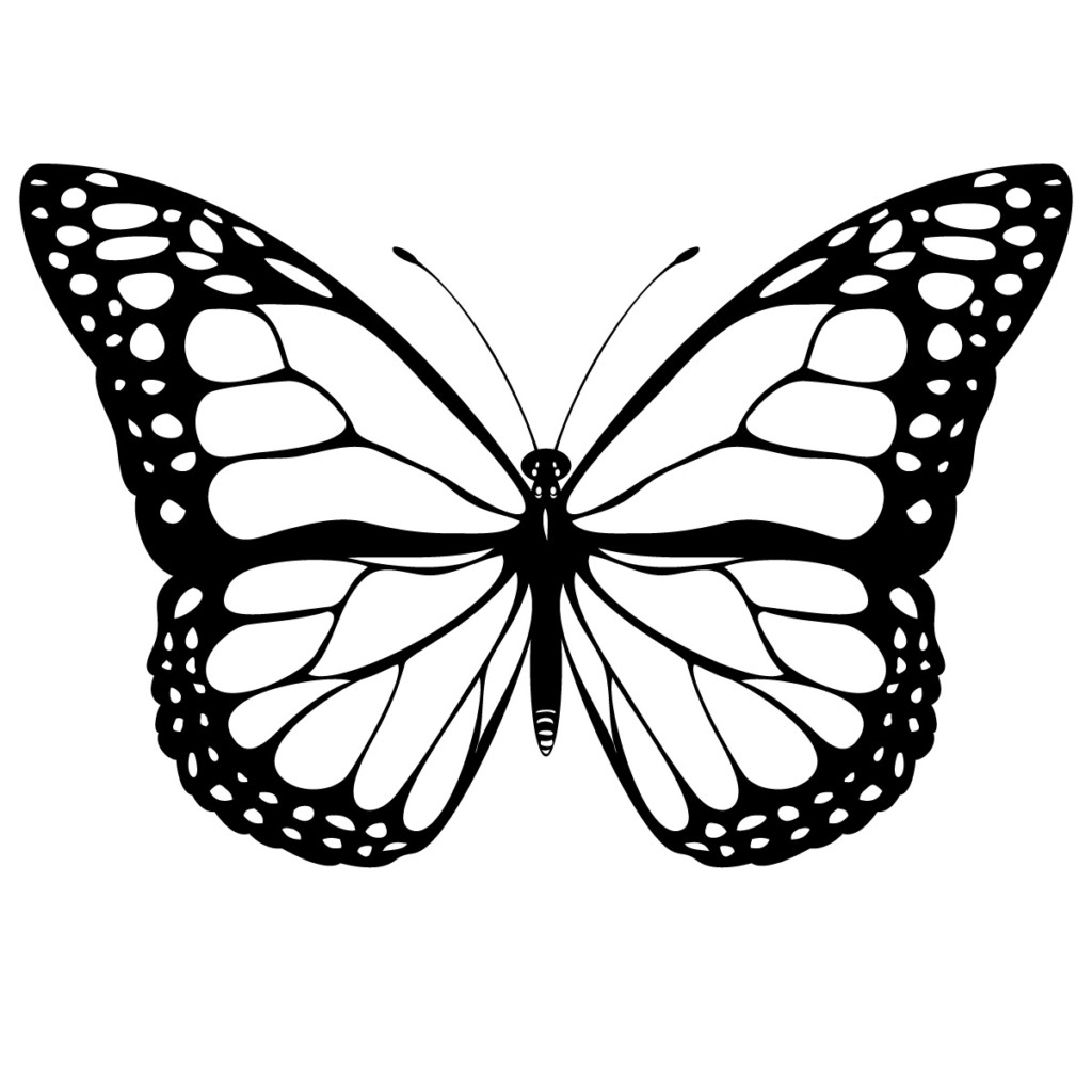 Simple Butterfly Images ClipArt Best