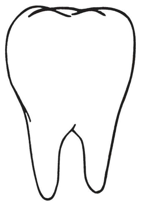 Tooth Pattern Children s Craft Art Project To Promote 
