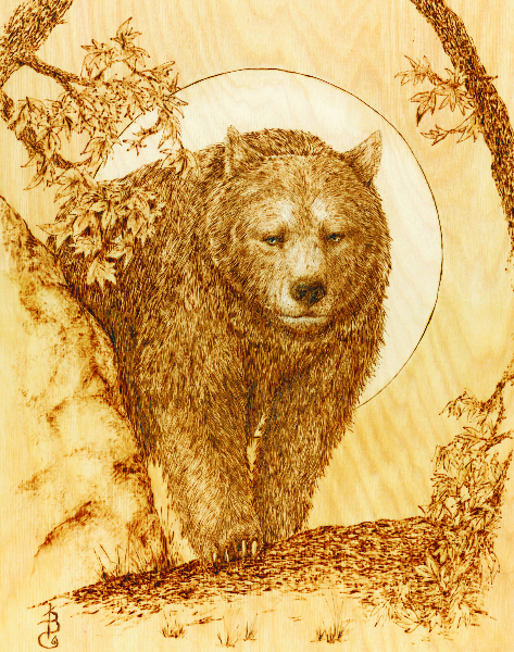 Woodworking For Wildlife Book