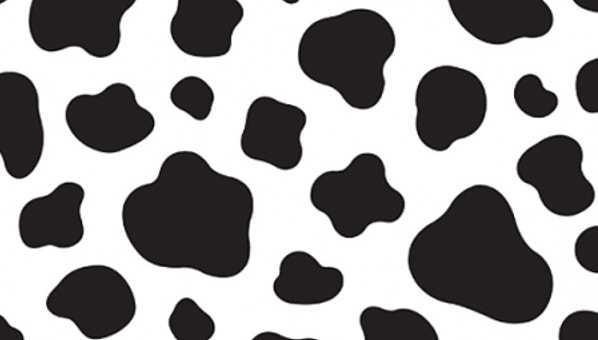 11 Cow Patterns Free PSD AI EPS Format Download 