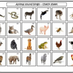 Animal Sound Bingo By LessonSense Teachers Pay Teachers