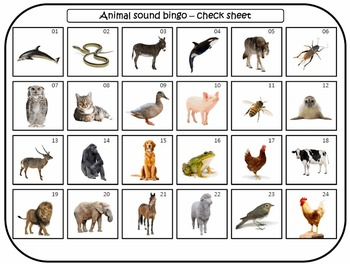 Animal Sound Bingo By LessonSense Teachers Pay Teachers