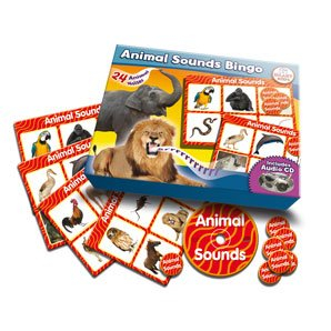 Animal Sounds Bingo Amazon co uk Office Products