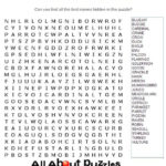 Animal Word Search Games In Large Print Feathered Friends