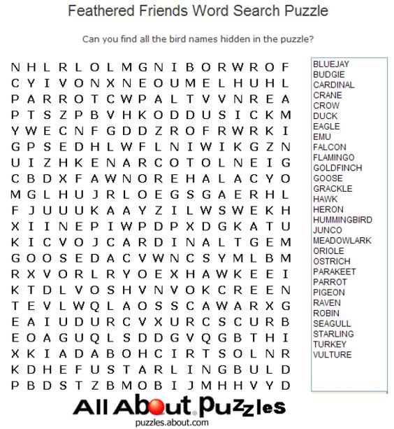 Animal Word Search Games In Large Print Feathered Friends 