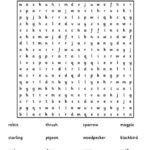 Birds Of The UK Word Search 2