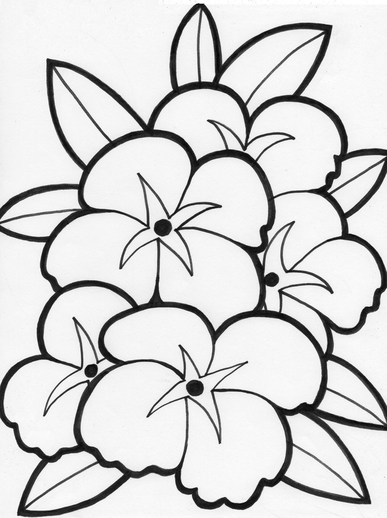 Free Printable Flower Coloring Pages For Kids Best 