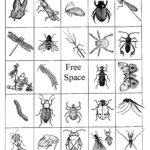 Free Printable Insect Bingo Cards With Images Bingo