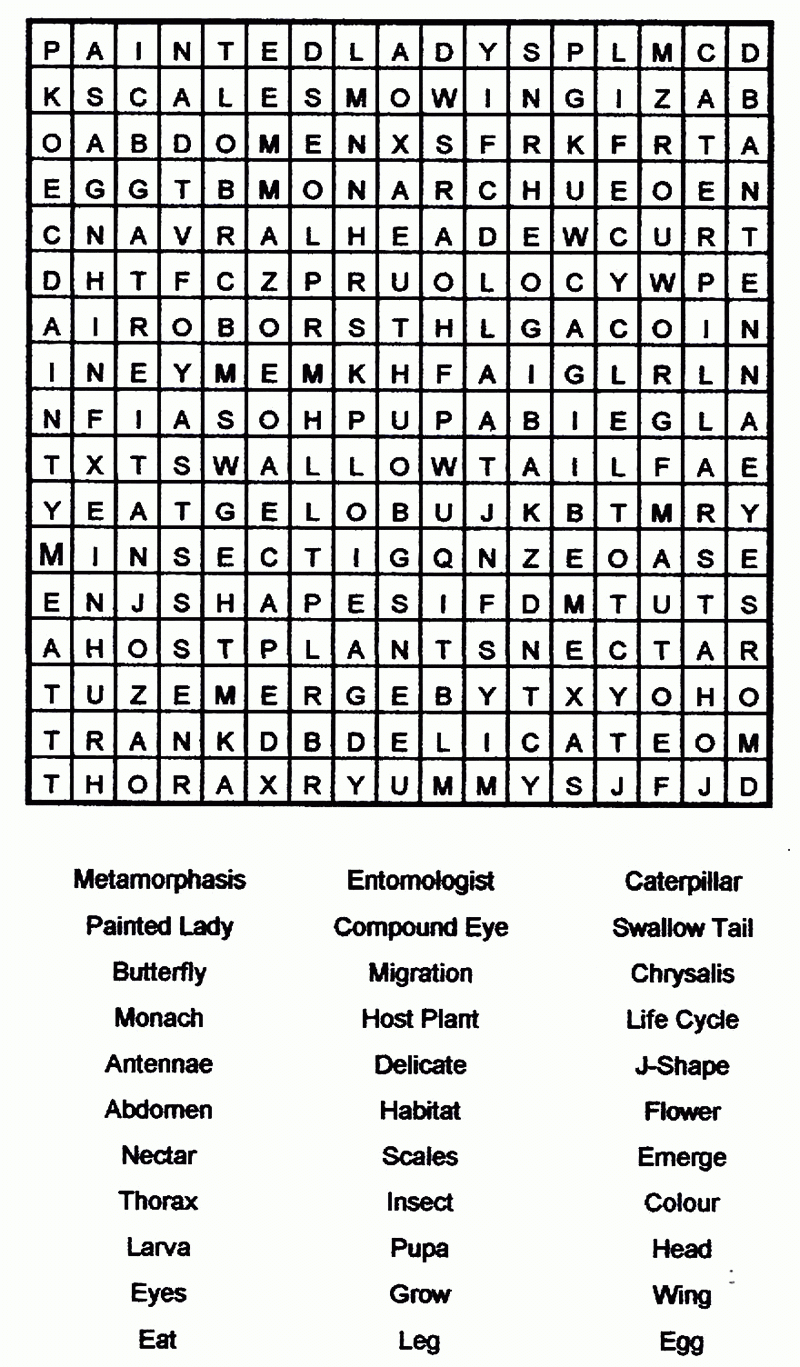 free printable word searches for adults large print pdf