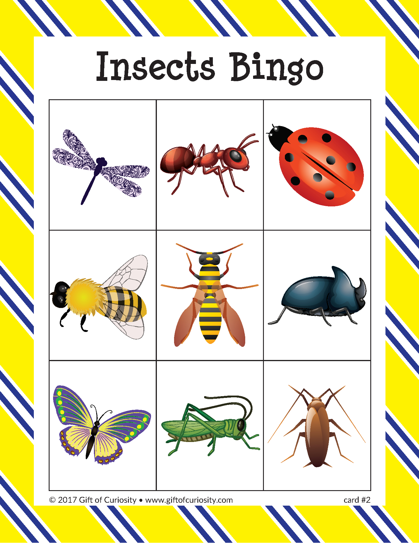 Insects Bingo Game English Esl Worksheets For Distance 