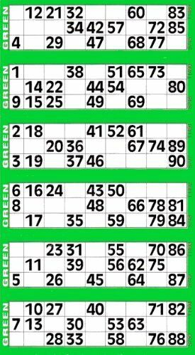 Jumbo Bingo Tickets Pads 6 To View Green EBay