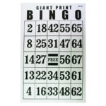 Jumbo Laminated Large Print Bingo Card Vision Forward