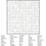 Online Puzzle Maker Picture Math Word Search Math