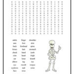 Parts Of The Body Wordsearch English ESL Worksheets For