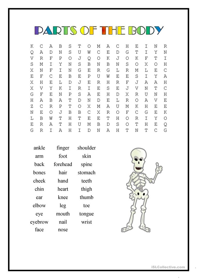 Parts Of The Body Wordsearch English ESL Worksheets For 
