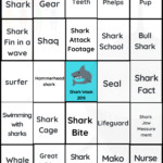 Shark Bingo Learning About Sharks In Las Vegas