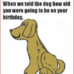 Free Printable Funny Birthday Cards For Adults Printable