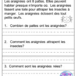 French Reading Comprehension Passages Questions