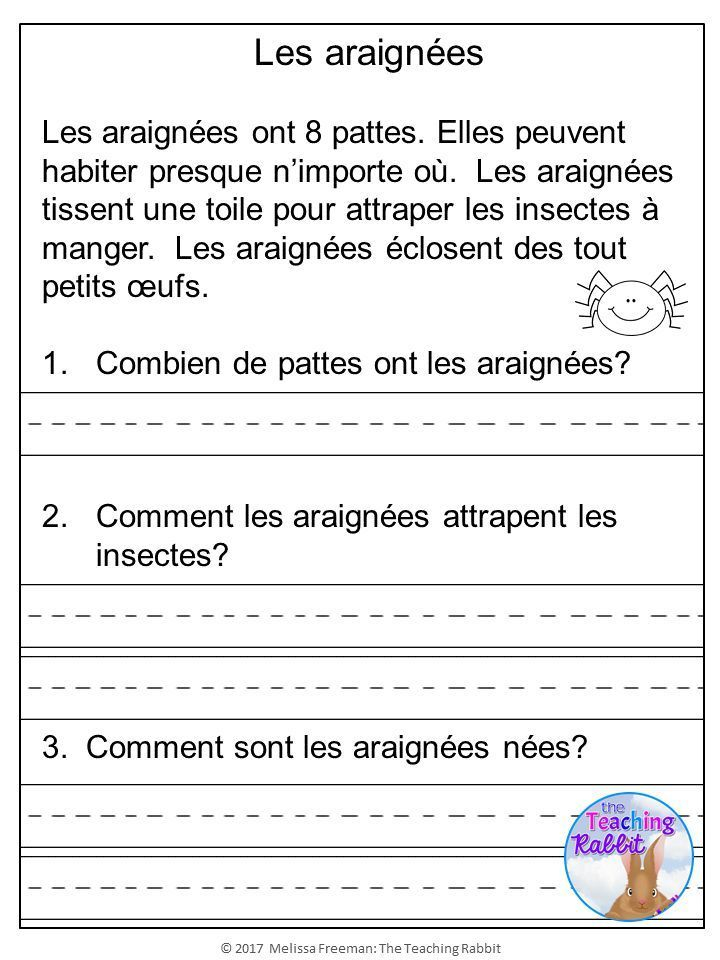French Reading Comprehension Passages Questions 
