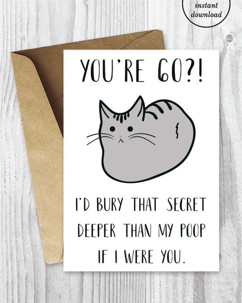 Funny 60th Birthday Cards Printable Cat 60 Birthday Card 