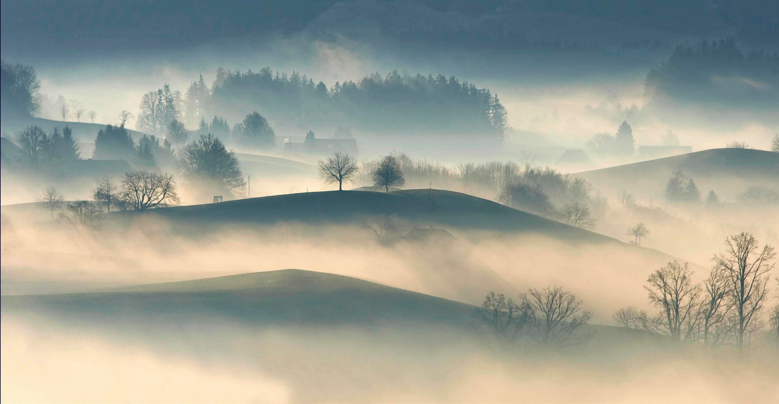 Landschapsfotografie Verwerk Mist In Je Foto Digifoto 
