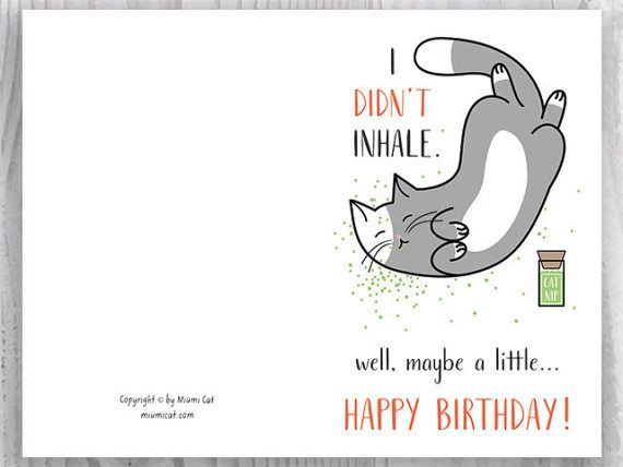 Printable Birthday Cards Funny Cat Birthday Cards Stoner 