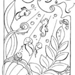 20 Free Printable Ocean Coloring Pages EverFreeColoring