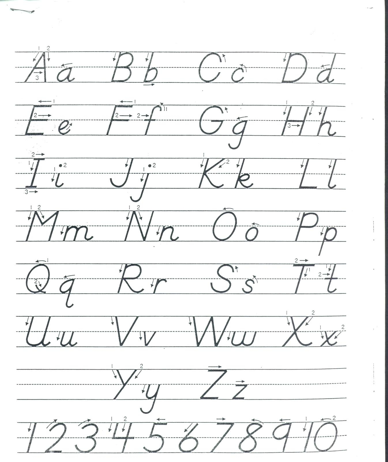 D nealian Cursive Alphabet Printable 
