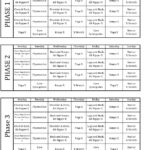12 Best Images Of Free Printable Worksheets P90X P90X