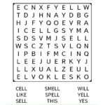 18 Pedagogic 1st Grade Word Searches KittyBabyLove