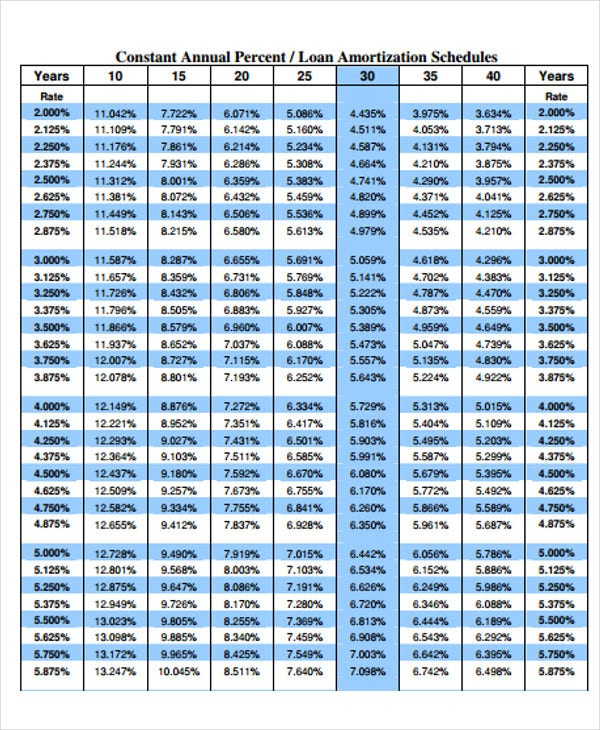 29 Amortization Schedule Templates Free Premium Templates