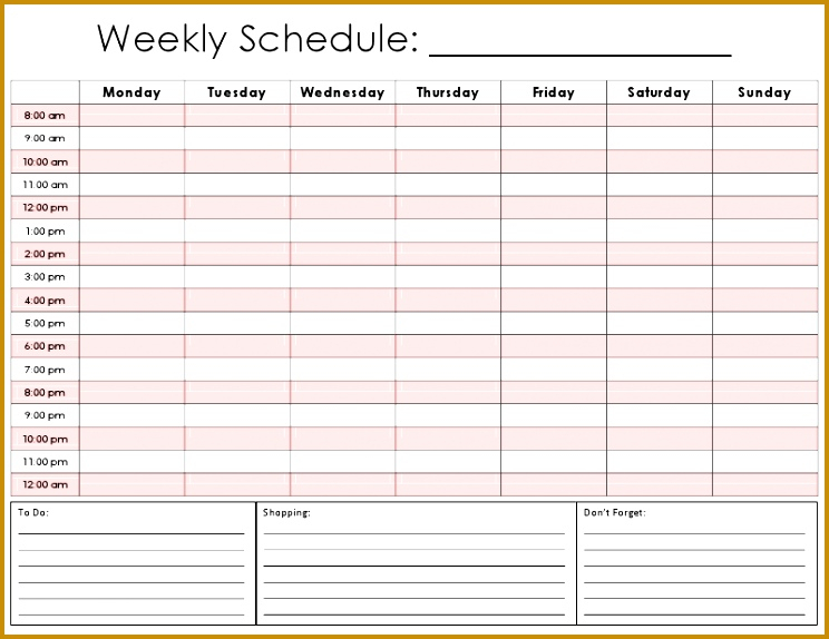pdf daily schedule