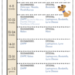 Dog Vaccination Schedule Pdf Petfinder