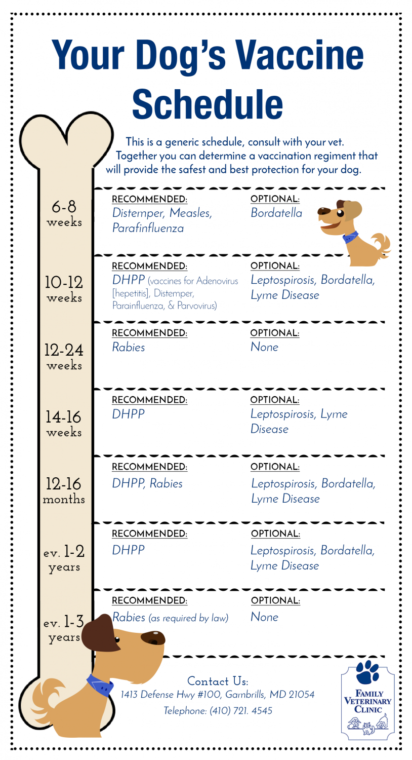 Dog Vaccination Schedule Pdf Petfinder