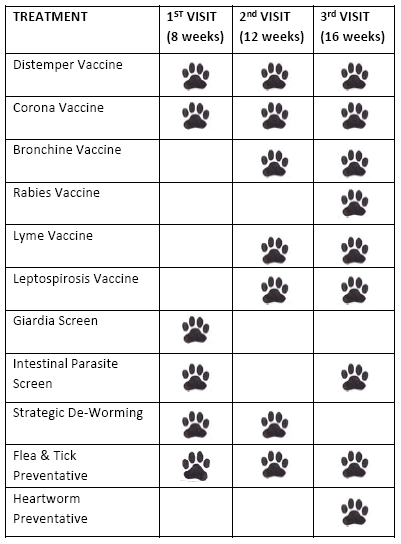 Dog Vaccination Schedule Printable Shop Fresh