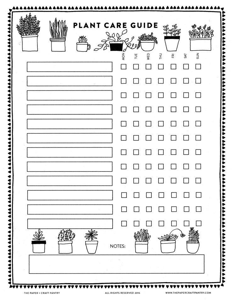 Download Our Printable Plant Care Guide Watering 