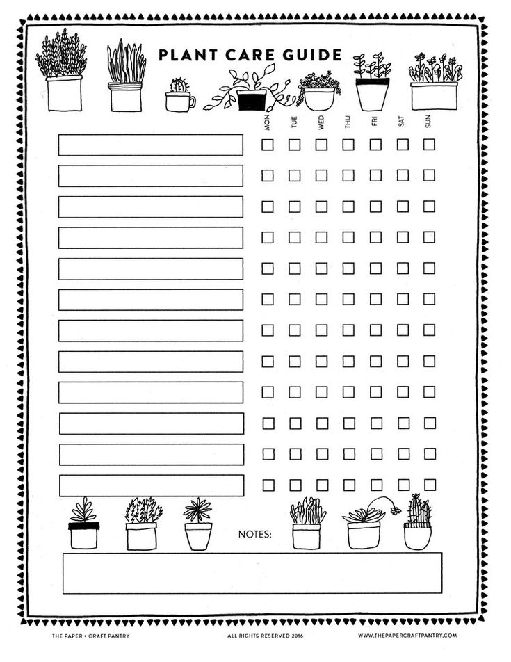 Download Our Printable Plant Care Guide Watering 