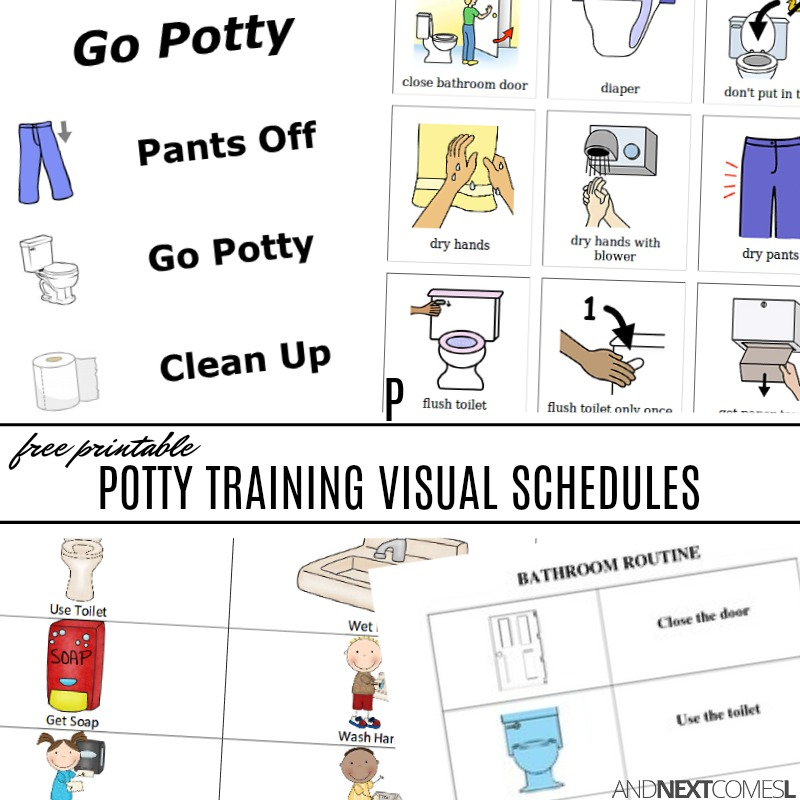 Free Potty Training Visual Schedules And Next Comes L 
