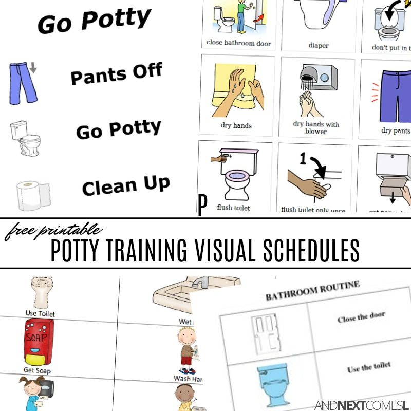 Free Potty Training Visual Schedules Visual Schedules 