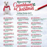 Hallmark Christmas Movies 2019 NEW Hallmark Movie