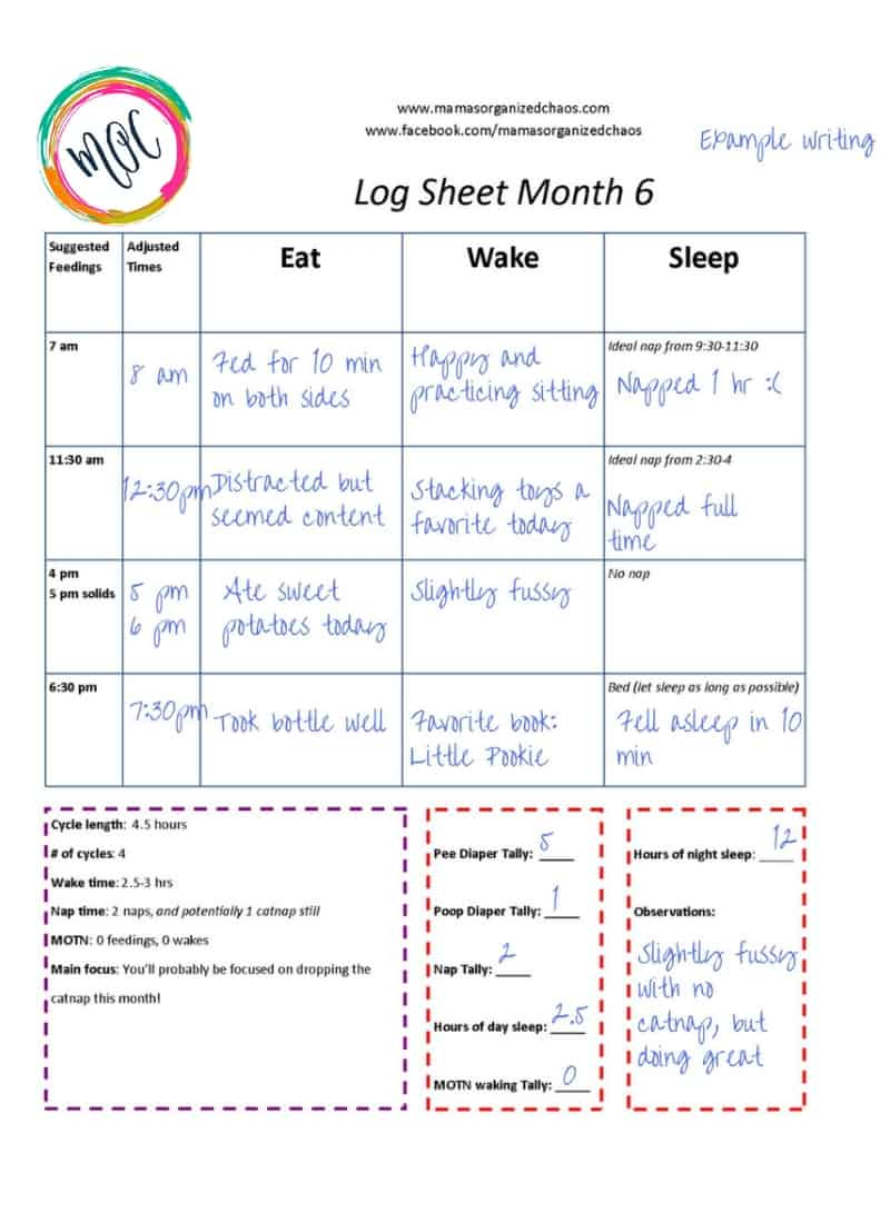 Printable Baby Schedule For Newborn To 6 Months 