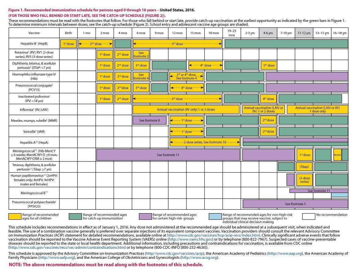 Printable Immunization Schedule Shop Fresh