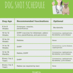 Puppy Vaccination Chart Barking Royalty
