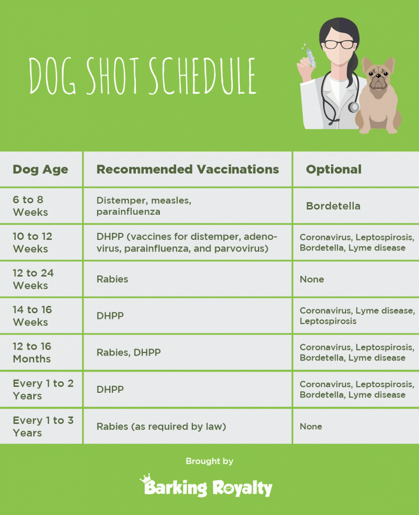 Puppy Vaccination Schedule Idaho Jacobson Kennel